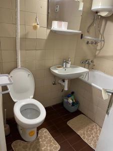 Koupelna v ubytování Apartman Tejsi