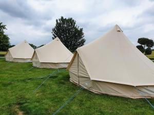 波特拉什North Coast Glamping - The Open 2025的田野上的一排白色帐篷