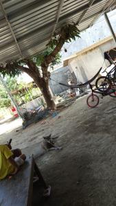Foto de la galería de Sagara home en Kuta Lombok