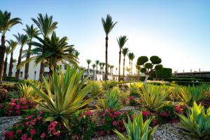 Jardín al aire libre en Sentido Reef Oasis Aqua Park Resort