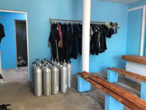 Imagen de la galería de Dive and Sleep - All Inclusive Diving Guesthouse - 3 Dives per day, en Maamigili