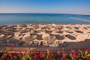 a beach with umbrellas and chairs and the ocean at Reef Oasis Beach Aqua Park Resort in Sharm El Sheikh