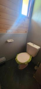 a small bathroom with a toilet with a window at Carelhue in Epuyén