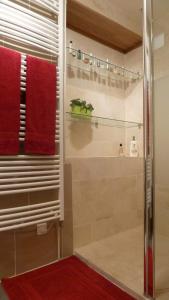 Koupelna v ubytování BnB Confort