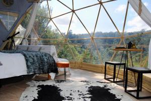 a bedroom in a glass dome with a bed and stool at Soul Forest GeoDome - Off-grid Nature Escape in Sedgefield