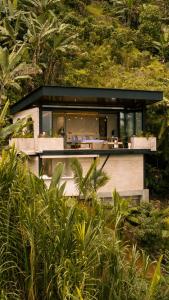 Fotografie z fotogalerie ubytování Selva Negra Cabins v destinaci Pereira