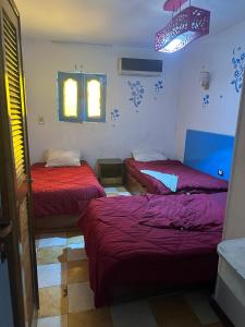 a room with two beds and a window at Hostal oasis in Cairo +20 photos