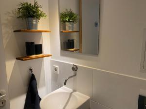 ein Badezimmer mit einem Waschbecken, einem Spiegel und Pflanzen in der Unterkunft SYMBIOSE-Ferienwohnung in München + 34 Fotos