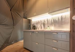 Sëtnowa Glamping的厨房或小厨房