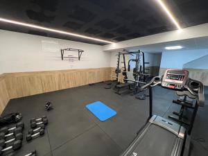 Fitness centrum a/nebo fitness zařízení v ubytování Claudia Luxury