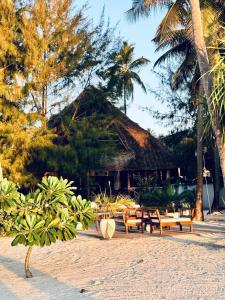 Jardí fora de Bahati Sunset Bungalows Michamvi