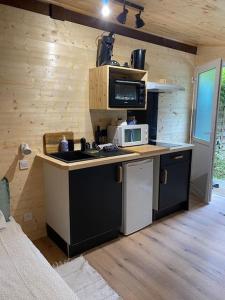 a kitchen with a stove and a microwave at cabane in Saint-Vincent-de-Paul