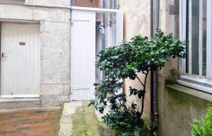 un arbre assis à côté d'un bâtiment avec une fenêtre dans l'établissement Fleuriau cozy boheme Proche marché & Vieux Port, à La Rochelle