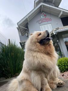 Imagen de la galería de Pousada Clementine, en Gramado