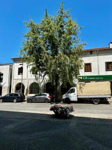 ein LKW, der vor einem Gebäude mit einem Baum parkt in der Unterkunft Central Home in Arouca