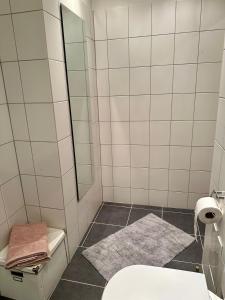 a bathroom with a toilet and a mirror at Saule in Ventspils +6 photos