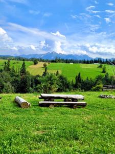 a group of logs sitting in a field of grass at Willa Widokowa in Bukowina Tatrzańska +28 photos