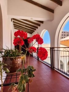 a room with red flowers on a balcony at Tambo Aymara in Uyuni