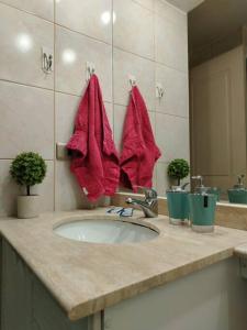 un comptoir de salle de bain avec un lavabo et des serviettes rouges dans l'établissement Bello y acogedor dpto cerca metro Baquedano 1303, à Santiago