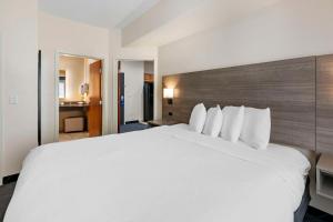 Postel nebo postele na pokoji v ubytování Best Western Lubbock West Inn & Suites