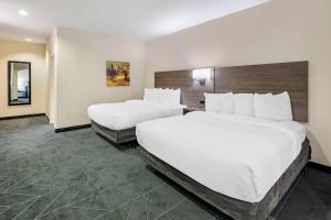 Postel nebo postele na pokoji v ubytování Best Western Lubbock West Inn & Suites