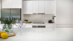 Kuchyň nebo kuchyňský kout v ubytování Tonic Guesthouse On Cornelian