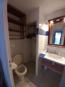 a bathroom with a toilet and a sink and a mirror at Chez Anne - TilaCaz in Marigot