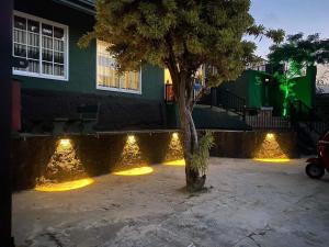 a tree in front of a house with lights at Green view Kandy in Kandy