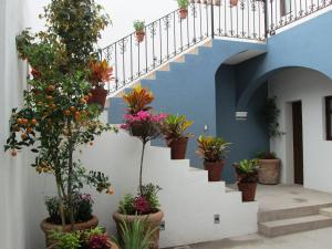 Zahrada ubytování Hotel Boutique Casa Altamira