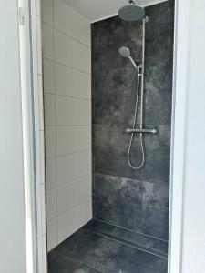 a shower with a shower head in a bathroom at Ferienhaus Weserblick am Sandstrand mit Dart, Billard und Tischkicker in Berne +17 photos