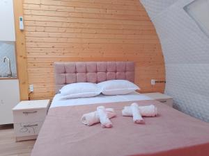 Voodi või voodid majutusasutuse Glamping Machakhela 2 toas