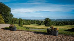two potted plants sitting on top of a hill at New House Country Hotel in Cardiff