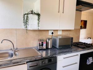 Η κουζίνα ή μικρή κουζίνα στο Modern Apartment in Randburg