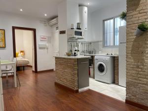Kuchyňa alebo kuchynka v ubytovaní Apartamentos Inside Paseo de los Tristes