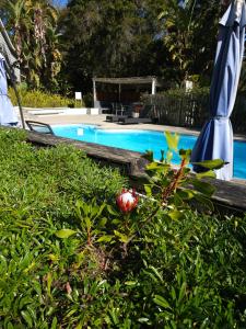 Bazén v ubytování Stannards Guest Lodge 4 Star B&B, Knysna nebo v jeho okolí