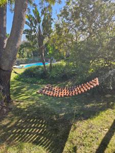 Zahrada ubytování Stannards Guest Lodge 4 Star B&B, Knysna