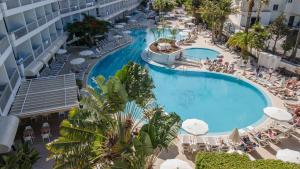 Palm Beach - Excel Hotels & Resorts内部或周边的泳池
