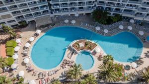 Palm Beach - Excel Hotels & Resorts内部或周边的泳池