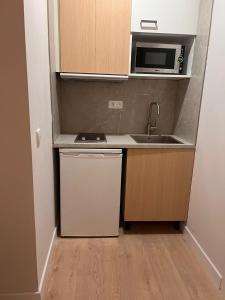 Kuchyň nebo kuchyňský kout v ubytování Room Gran Vía Apartments