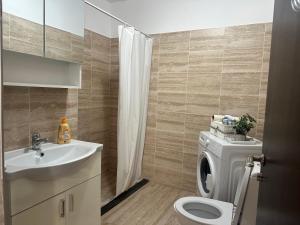 MăgureleにあるMares Rentals Residence Magureleのトイレと洗濯機を備えたバスルーム +34枚の写真