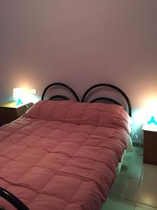 1 dormitorio con 1 cama grande y edredón rosa en Casa Barolo, en Turín