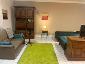 a living room with a couch and a green rug at Gemütliches Souterrain Refugium in Offenbach