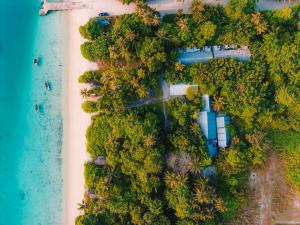 NolhivaranfaruMi Lugar Maldives的海滩和海洋的鸟瞰图