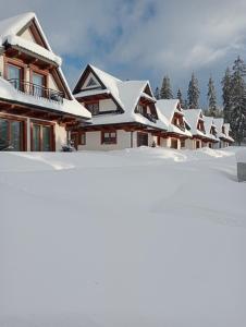 a row of houses covered in snow at Domki Pod Lasem Podhale in Zakopane