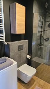 Łazienka w obiekcie Apartament Buk