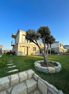 un albero di fronte a una grande casa di Villa Hisar a Seferihisar Altre 25 foto
