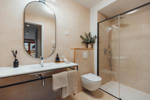 a bathroom with a shower and a toilet and a mirror at Goldhorn Chalet SKI IN&OUT in Kranjska Gora +59 photos
