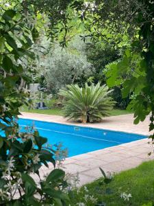 a blue swimming pool in a garden with trees at Casa Valley Boutique in Melegis