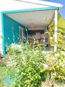 Zahrada ubytování Tukusi Bungalow