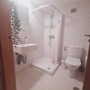 a bathroom with a toilet and a sink and a shower at Solo Habitacion Doble en Apartamento A COMPARTIR! in Málaga